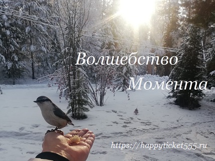 volshebstvo_momenta