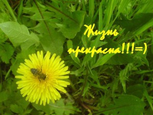 изменение_жизни_izmenenie_gizni