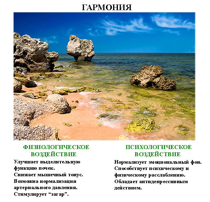 волшебные_картинки_volshebnye_kartinki (2) волшебные_картинки_volshebnye_kartinki (2)