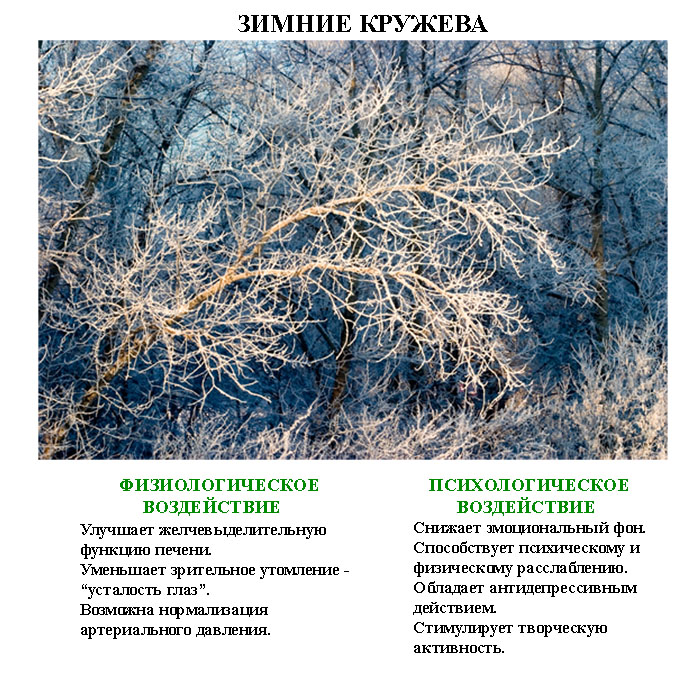 волшебные_фотографии_volshebnye_fotografii волшебные_фотографии_volshebnye_fotografii