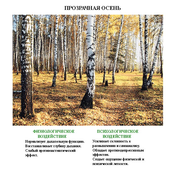 исцеляющие_фотографии_iscelaiyshie_fotografii (3) исцеляющие_фотографии_iscelaiyshie_fotografii (3)