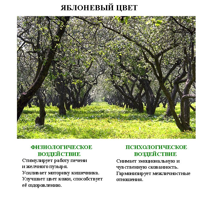 исцеляющие_фотографии_iscelaiyshie_fotografii (4) исцеляющие_фотографии_iscelaiyshie_fotografii (4)