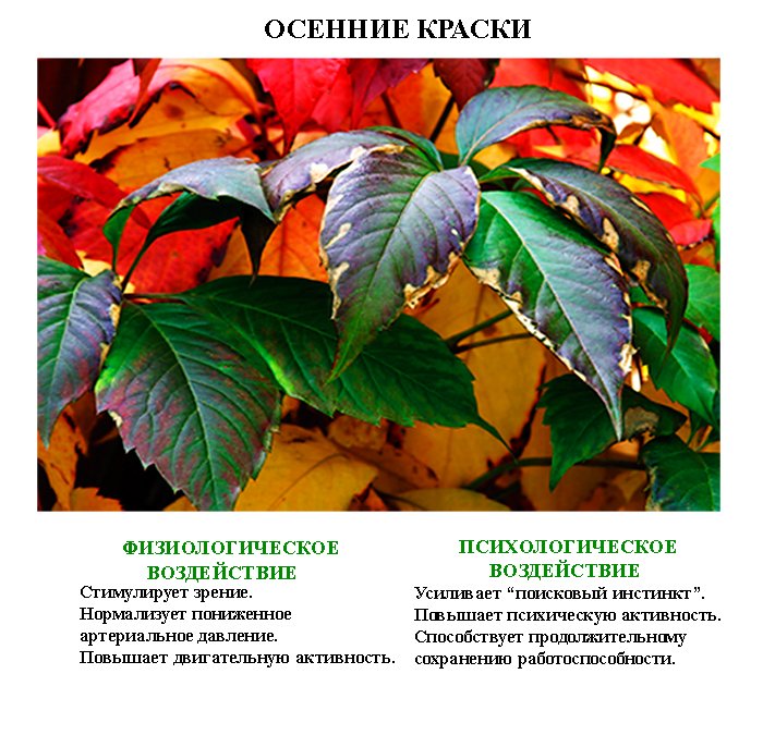 исцеляющие_фотографии_isceliayshie_fotografii (10) исцеляющие_фотографии_isceliayshie_fotografii (10)
