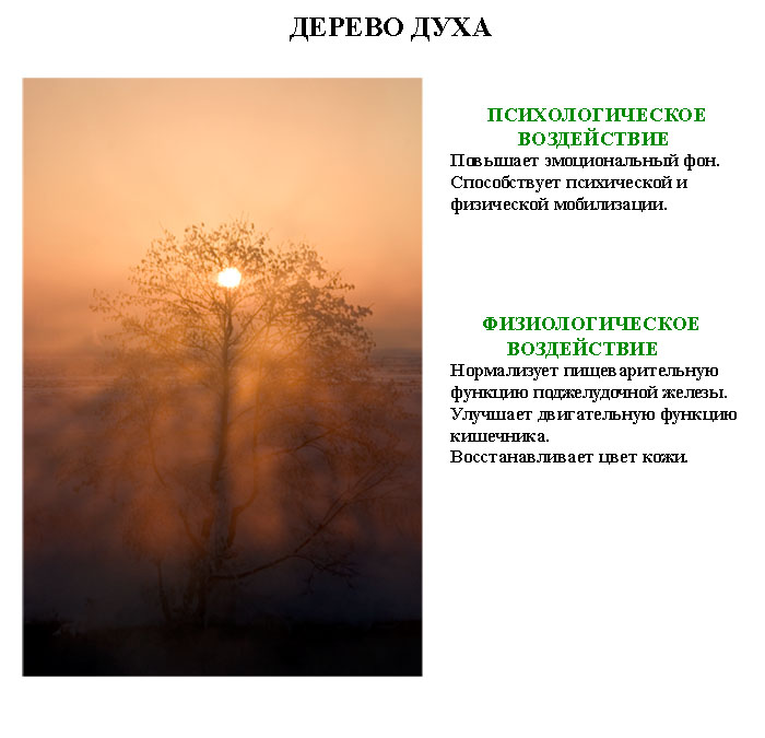 исцеляющие_фотографии_isceliayshie_fotografii (4) исцеляющие_фотографии_isceliayshie_fotografii (4)