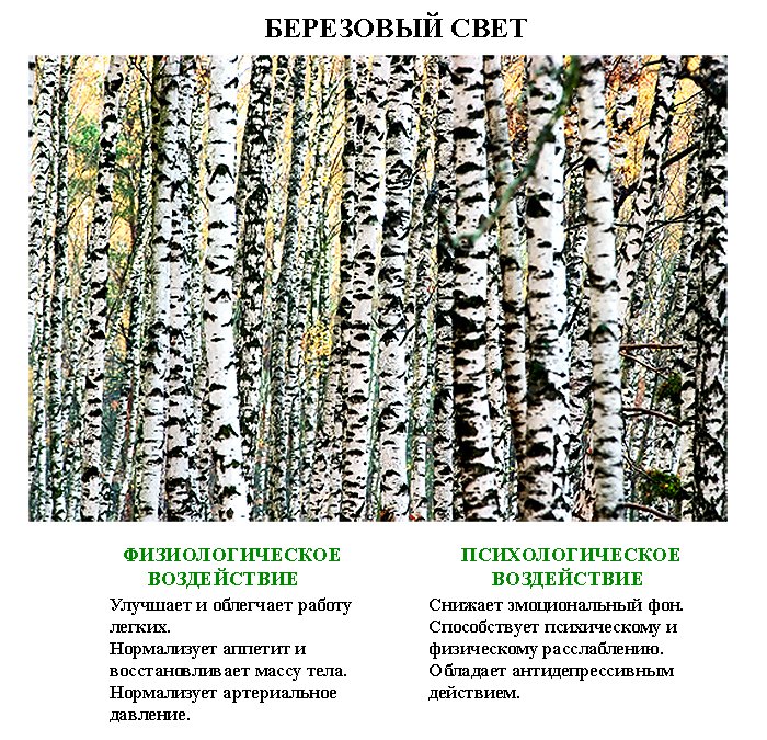 лечебные_картинки_leghebnue_kartinki (2) лечебные_картинки_leghebnue_kartinki (2)