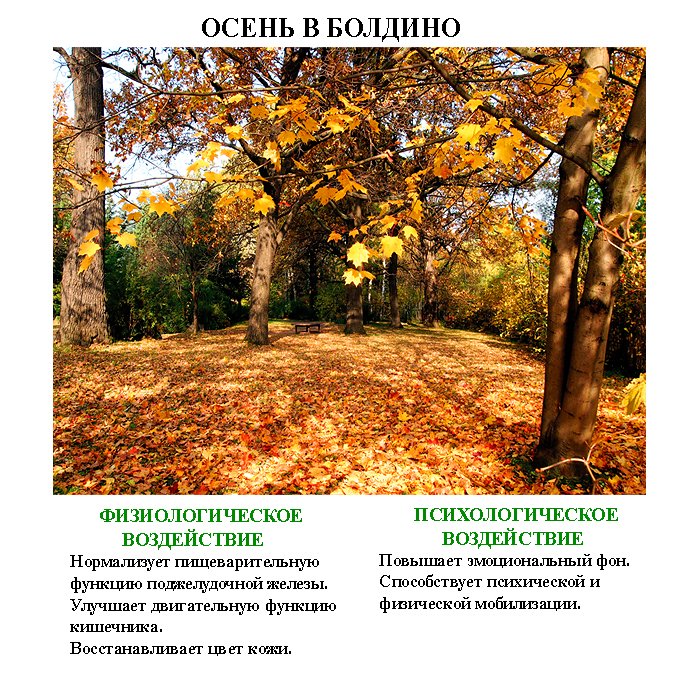 лечебные_картинки_leghebnue_kartinki (3) лечебные_картинки_leghebnue_kartinki (3)