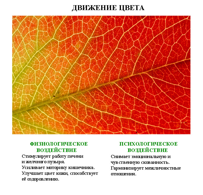 лечебные_картинки_leghebnue_kartinki (4) лечебные_картинки_leghebnue_kartinki (4)