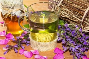 monastyrskii_ghai_ot_besplodia