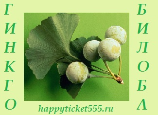 ginkgo_biloba_kypit