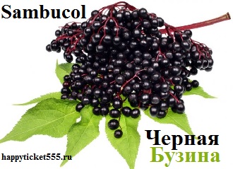 ambucol_Black_ Elderberry