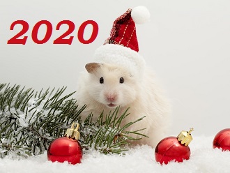 в_чем_встречать_новый_год_2020
