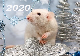 как_встречать_новый_год_2020