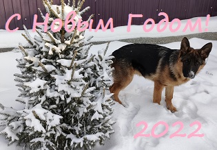novyi_god_2022